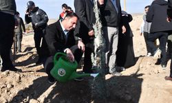 Eskişehir'in o ilçesine 5 bin fidan dikildi!