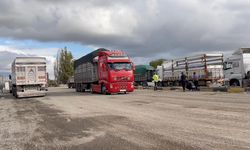 Eskişehir'de polisin dur ihtarına uymayan tır trafiği tehlikeye soktu!