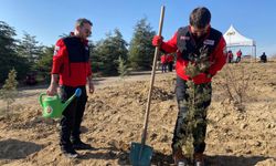 Eskişehir yangın faciası şehitleri anısına fidan diktiler