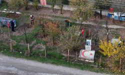 Eskişehir'de çöplükten fidanlığa: 14 yıllık azim!