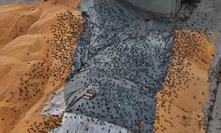 Eskişehir'de bu sorun çözüm bekliyor!