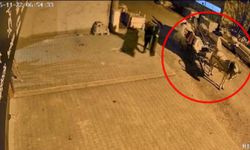 Eskişehir'de at arabasıyla hırsızlık yaptılar!