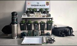 Kenevir yetiştiren 3 kişi yakalandı