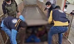 20 düzensiz göçmen yakalandı