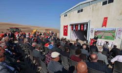 203 ton kırmızı mercimek çiftçilere dağıtıldı