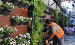 4 Milyon çiçek toprakla buluşuyor