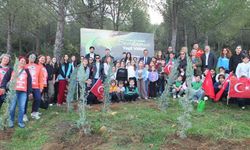 400 fidan toprakla buluştu