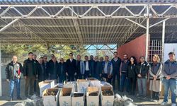 42 bin adet çilek fidesi dağıtıldı