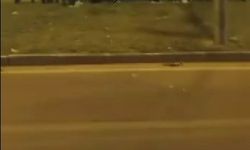 Araç refüje uçtu: 1 yaralı