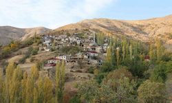 Asırlık kerpiç evler arasında renk cümbüşü