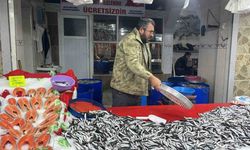 Balık pazarında en çok hamsi ilgi görüyor