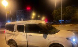 Başıboş at, araca çarptı