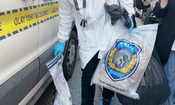 Böcek ailesinin kaldığı Fatih’teki otelde yeni gelişme!