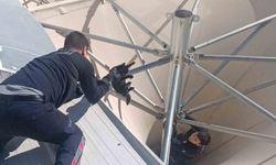 Çatıda mahsur kalan kediyi itfaiye kurtardı