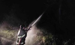 Çıkan orman yangını söndürüldü