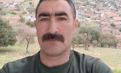 Çobanı av tüfeğiyle vuran avcı tutuklandı