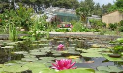 Ege Üniversitesinin endemik tür cenneti