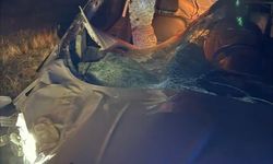 Hafif ticari araç ata çarptı: 2 yaralı