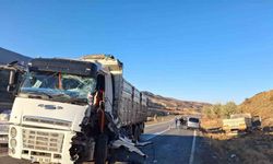 İki kamyon kafa kafaya çarpıştı: 1 yaralı