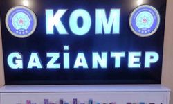 Kaçakçılık operasyonu: 8 gözaltı