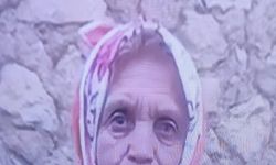 Kayıp kadını arama çalışmaları devam ediyor