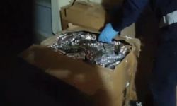 Narkotik ekipleri 49 bin uyuşturucu hap ele geçirdi