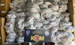 Tırda 10 ton kaçak tütün ele geçirildi