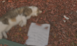 Eskişehir'de bu notu görenler şoka uğradı!