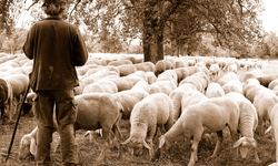 Eskişehir'in bu efsanesini biliyor musunuz?