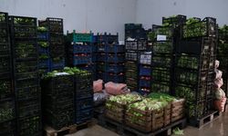 Eskişehir'de kuraklık üretimi vurdu!