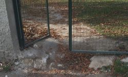 Eskişehir'in o mahallesi bakım bekliyor...