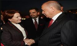 Seçimler yaklaşınca gelirim