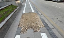 Eskişehir'deki o yol onarım bekliyor