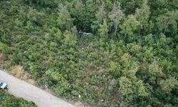 Gürcistan’da Türk vatandaşı ormanlık alanda ölü bulundu