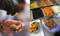 Kumpir ve midye faciasında son gelişmeler...