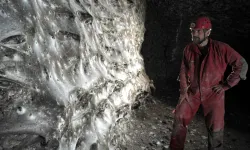 Dünyanın en büyük örümcek ağı keşfedildi