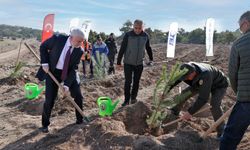 TEI'den Eskişehir'de hatıra ormanı