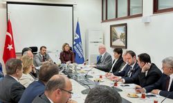 Ortak tutum toplantısı