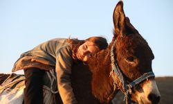 Küçük veteriner adayı Ayşe Yaren’in kırsal hikayesi