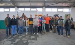 Kısrak tohumlama eğitimi!