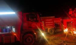 Çiftlik alevlere teslim oldu... Yangın saatler sonra kontrol altına alındı