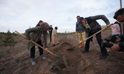 Binlerce fidan toprakla buluştu...