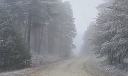 Eskişehir'in o ilçesine kar yağdı