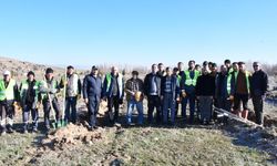 Eskişehir’de ağaçlandırma seferberliği