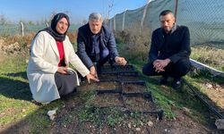 Nesli tükeniyordu, Eskişehir'de yeniden hayat buldu...