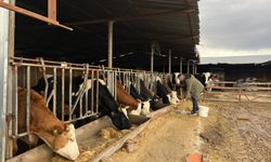 Çiftçiye 11 ay sonra haciz şoku iddiası