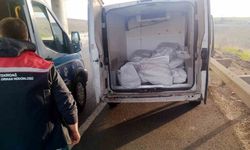 400 kilo menşei belirsiz kokoreç imha edildi