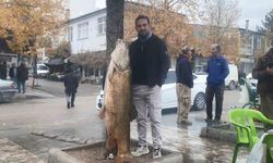 60 kiloluk turna balığı yakalandı