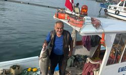 Balıkçı ağına 10 kiloluk levrek takıldı