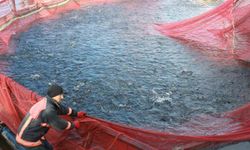 Bozkırın ortasında yetişti, Rusya ve Japonya yolcusu oldu